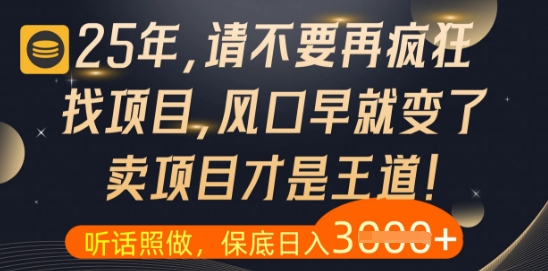 什么？25年你还在疯狂找项目做，醒醒吧，看完这些你全都懂了【揭秘】